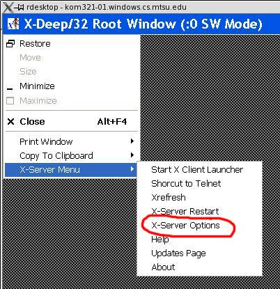 Select X server options (closeup)