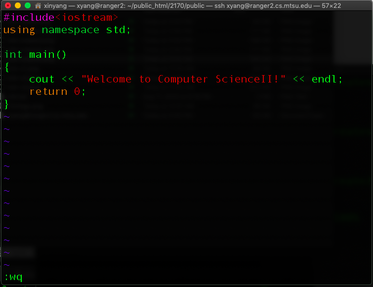 vimr from command line